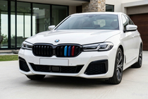 BMW 5er G30/G31 2017–2023 M-Look V1 Nieren (2021+, M-Color) Foto 1