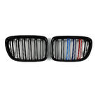 BMW X1 E84 2009-2015 Nieren M-Look (M-Color) Foto 2