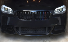 BMW X1 E84 2009-2015 Nieren M-Look (M-Color) Foto 1