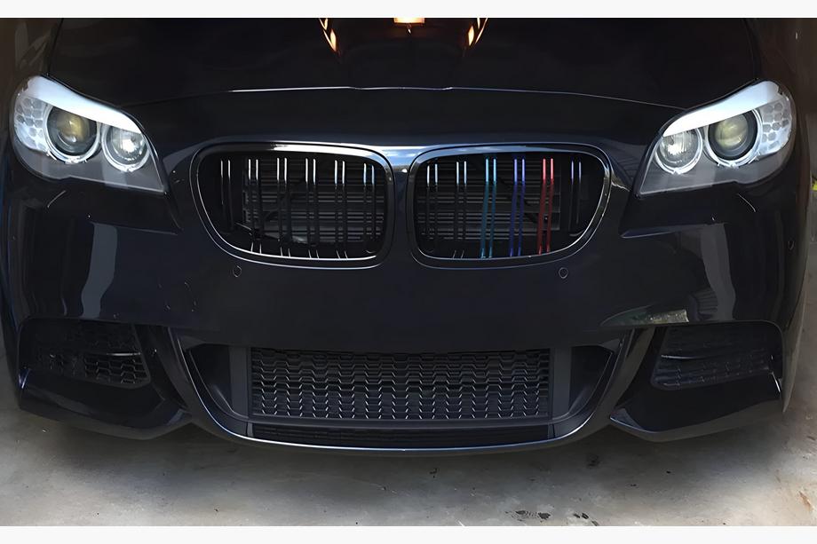 BMW X1 E84 2009-2015 Nieren M-Look (M-Color) Image