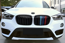 BMW X1 F48 2015-2022 Nieren M-Look (2015-2019, M-Color) Foto 1