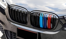 BMW X1 F48 2015-2022 Nieren M-Look (2015-2019, M-Color) Foto 3