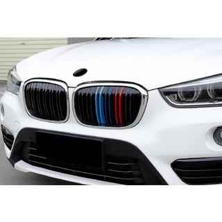 Nieren M-Look (2015-2019, M-Color mit Chromrahmen) BMW X1 F48 2015-2022 Foto 1