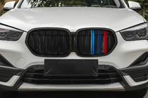 BMW X1 F48 2015-2022 Nieren M-Look (2020-2022, M-Color) Foto 1