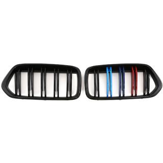 Nieren M-Look (M-Color) BMW X2 F39 2018-2023 Foto 2