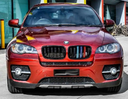 BMW X6 E71 2008–2014 Nieren M-Look (M-Color) Foto 1