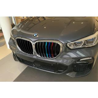 Nieren 1 Bar (2019-2022, M-Color mit Chromrahmen) BMW X5 G05 2019–2026 Foto 1