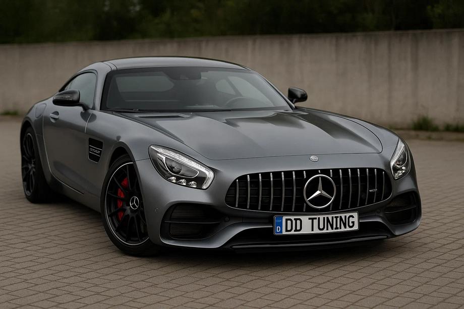 Mercedes AMG GT C190/R190 2014-2022 Frontgrill GT Panamericana (2014-2017) Image