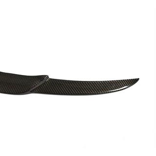 Heckspoiler V1 (für SD, Carbon) Foto 2
