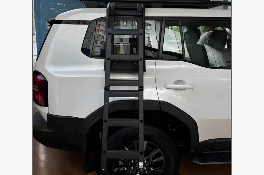 Toyota Land Cruiser Prado 250 2023- Seitenleiter Image