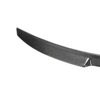 Spoiler V1 (für 2018-2020, Carbon) Foto 3