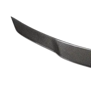 Spoiler V2 (für 2011-2020, Carbon) Foto 2
