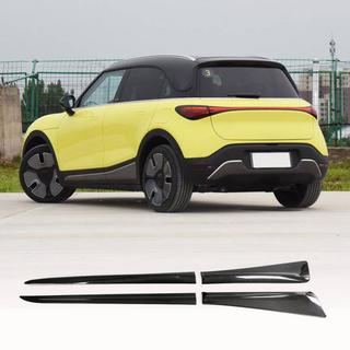 Seitenschweller (Carbon) Smart 1 2022- Foto 1