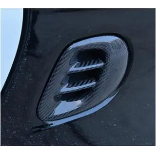 Carbon Abdeckung für hinteren Kotflügel (für fortwo) Foto 2