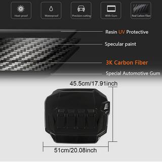Motorabdeckung (für GTI, Carbon) Foto 4
