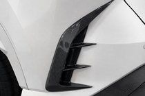 Lexus RX 2022- Carbon-Heckstoßstangenabdeckung Foto 2