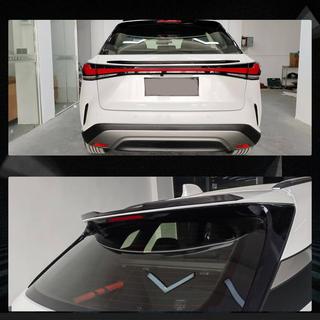 Spoiler (Carbon) Foto 2