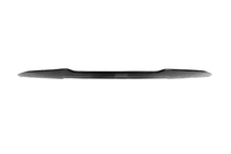 Infiniti Q50/Q60 2013-2024 Spoiler V2 (für Q60 2016-2022, Carbon) Foto 7