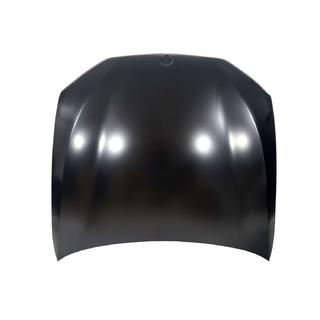 Motorhaube (Aluminium) Foto 1