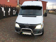 Mercedes Sprinter W901/902/903/904/905 1995–2006 Frontschutzbügel Exclusive (Edelstahl) 1995-2000 Foto 4