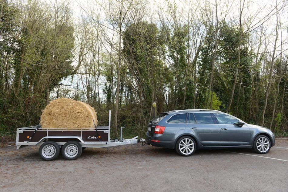 Einachsiger oder zweiachsiger Anhänger: Was soll man für einen Pkw wählen?