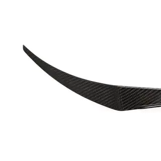 Frontstoßstangenaufsätze V1 (für GT3 (RS) 2014-2015, Carbon) Foto 3