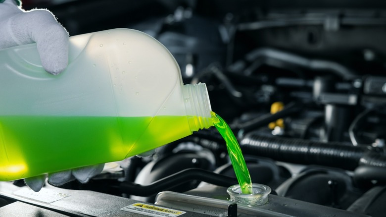 So machen Sie bei der Auswahl eines Frostschutzmittels für ein Auto keinen Fehler