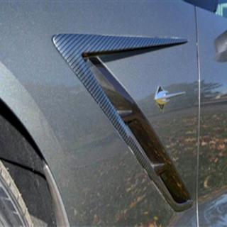 Carbon Abdeckungen für vordere Kotflügel (2013-2017)