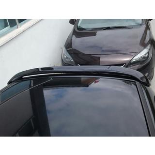 Dachspoiler Meliset (grundiert zum Lackieren) Peugeot 206 1998-2024 Foto 4