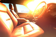 Was sollte man bei Hitze auf keinen Fall im Auto lassen? Foto 1