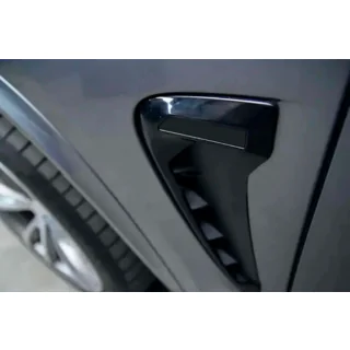 Kiemen im Black Style X5M F85