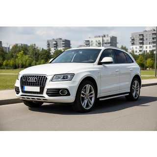 Seitenschweller Tayga (2 Stk., Aluminium) Foto 1