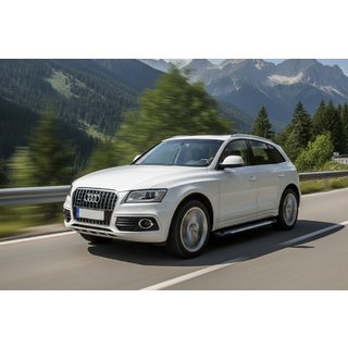 Seitenschweller Line (2 Stk., Aluminium) Foto 1