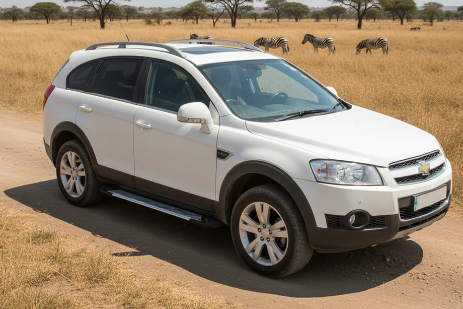 Chevrolet Captiva 2006-2019 Seitenschweller Line (2 Stk., Aluminium) Image