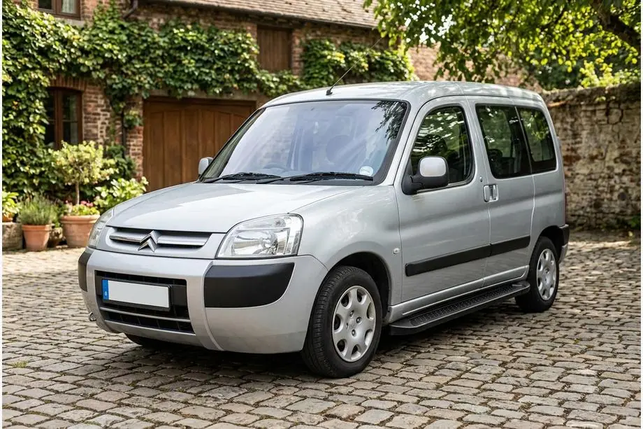 Citroen Berlingo 1996-2008 Trittbretter Allmond Black (2 Stk., Aluminium) Image