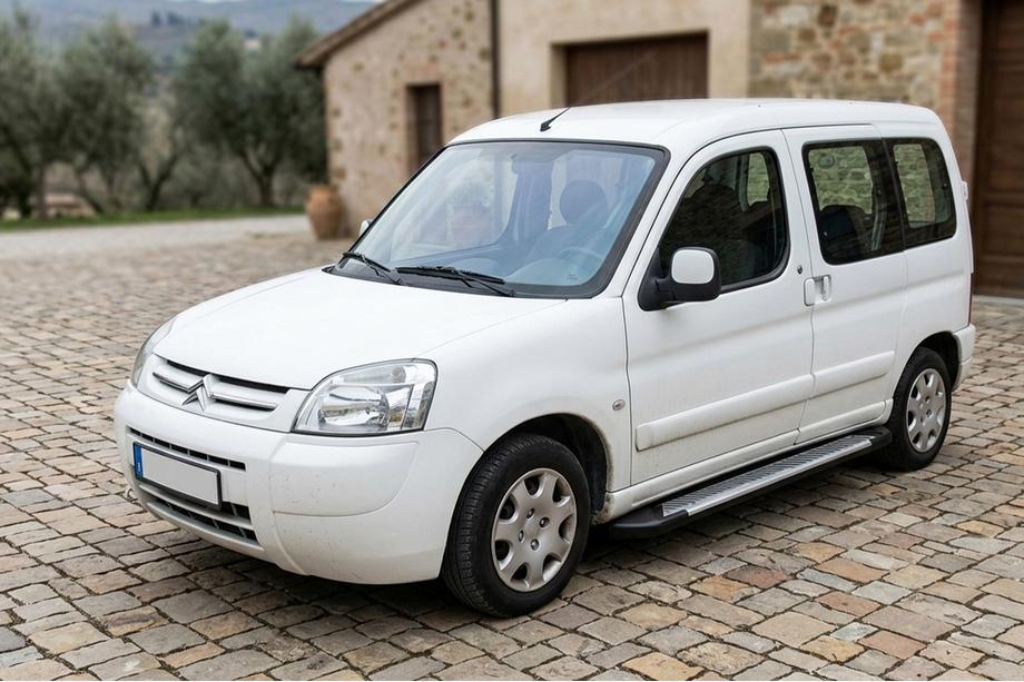 Citroen Berlingo 1996-2008 Seitenschweller Line (2 Stk., Aluminium) Image