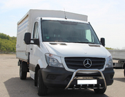 Mercedes Sprinter W906 2006–2018 Frontbügel WT003 (Edelstahl) 60mm, mit Schriftzug Foto 1