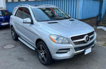 Mercedes GLE/ML class W166 2011-2018 Seitenschweller Original Design (2 Stk., Aluminium) Foto 1