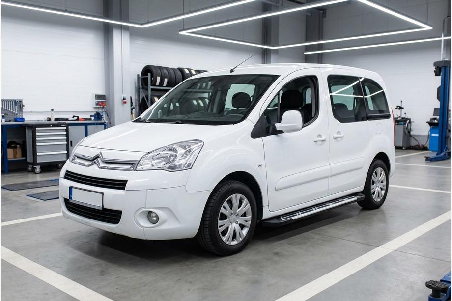 Citroen Berlingo 2008-2018 Seitenschweller Sunrise (2 Stk., Aluminium) Image
