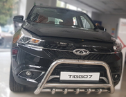 Chery Tiggo 7 2016-2019 Frontbügel WT003 (Edelstahl) Foto 2