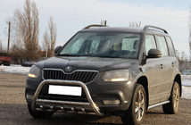 Skoda Yeti 2009-2017 Frontbügel WT003 (Edelstahl) Foto 3