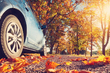 Auto herbstfest machen: Notwendigkeit oder Zeitverschwendung? Foto 1