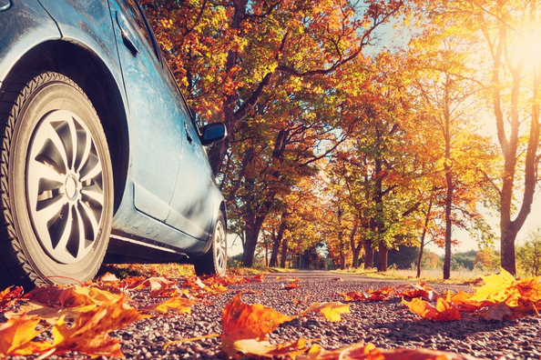 Auto herbstfest machen: Notwendigkeit oder Zeitverschwendung?