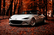Autopflege im Herbst: 5 wichtige Regeln Foto 1