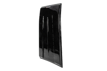 Renault Duster 2024- Hood Scoop (Glanz) Foto 6
