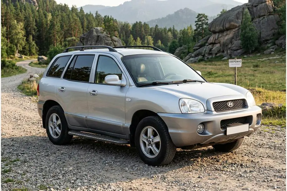 Hyundai Santa Fe 1 2000-2006 Seitenschweller Bosphorus Black (2 Stk., Aluminium) Image