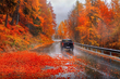 Welche Gefahren birgt der Herbst für Autofahrer? Foto 1
