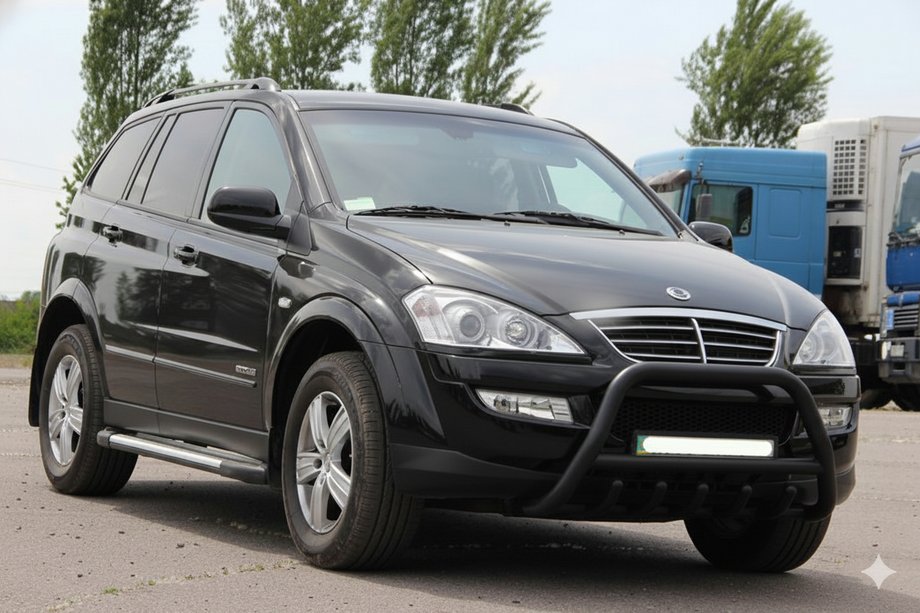 SsangYong Action 2005-2018 Frontbügel WT003 Schwarz Edelstahl Image