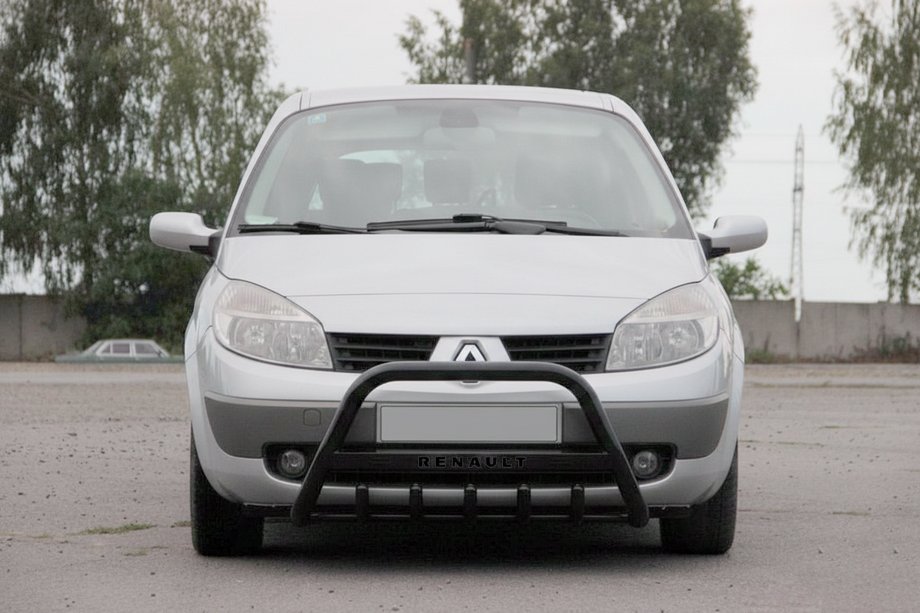 Renault Scenic/Grand 2003-2009 Frontbügel WT004 Schwarz (Edelstahl) Image