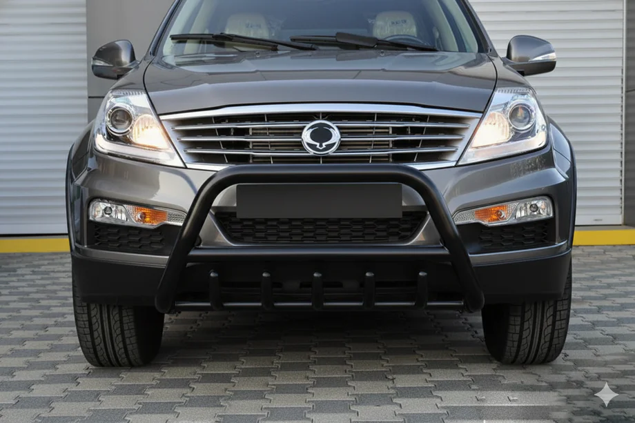 SsangYong Rexton I 2001-2017 Frontbügel WT003 Schwarz Edelstahl Image